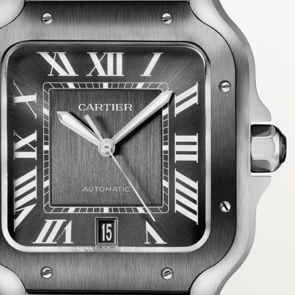 Cartier Santos Gray